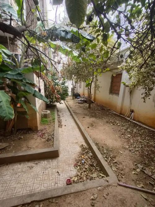 Vente Villa Alger Birkhadem