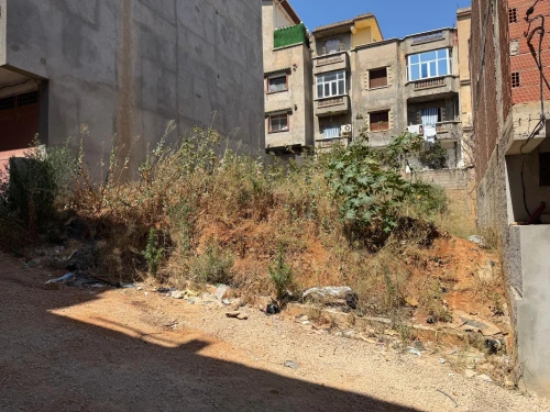 Vente Terrain Alger Ain naadja