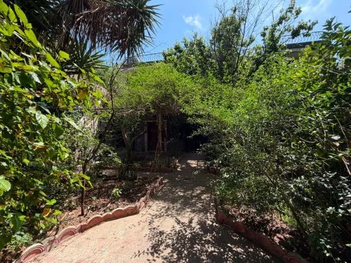 Vente Villa Alger Kouba