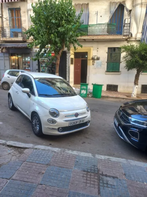 Vente Appartement F3 Alger Belouizdad