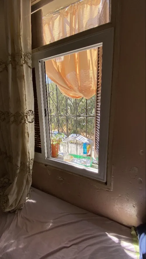 Vente Appartement F4 Alger Cheraga