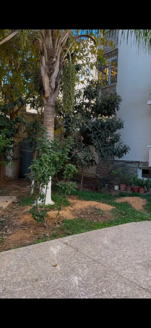 Vente Appartement F4 Alger El achour