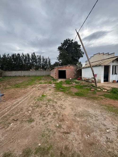 Location Terrain Alger Staoueli