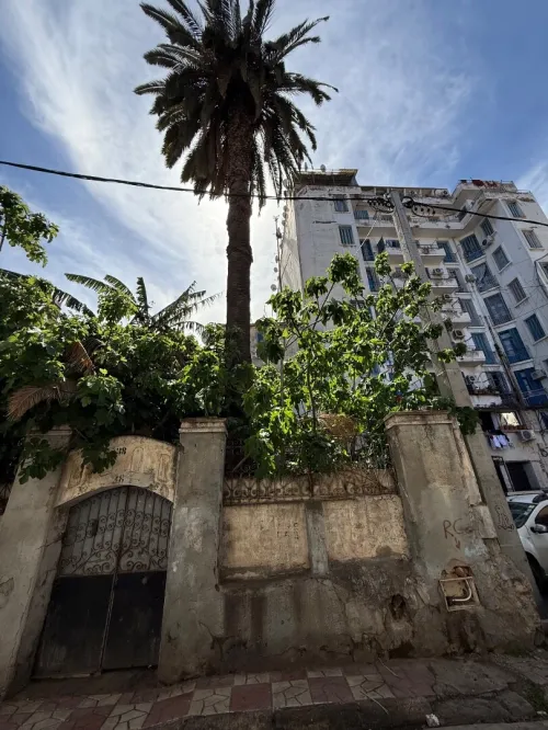 Vente Terrain Alger Sidi mhamed