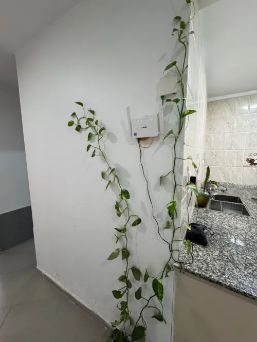 Vente Appartement F3 Alger Cheraga