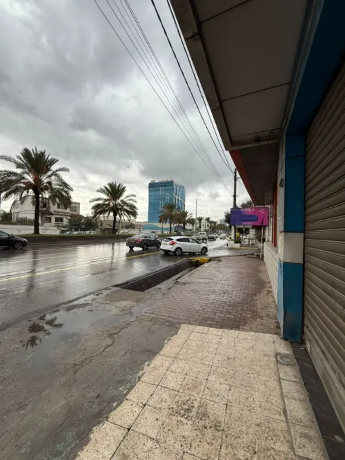 Vente Terrain Alger Bir mourad rais