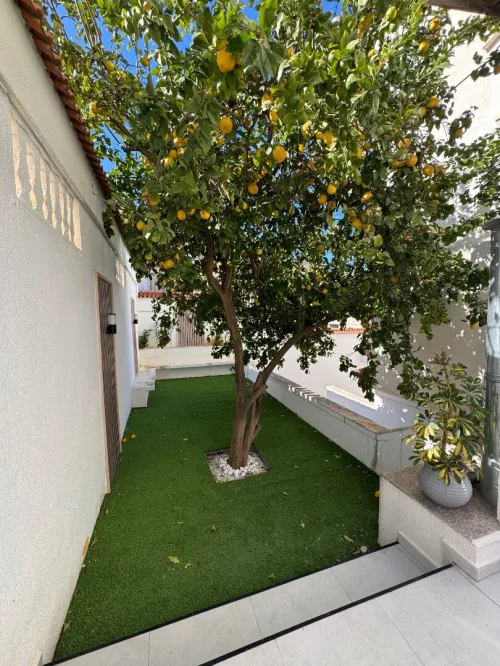 Location Villa Alger Cheraga