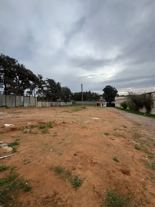 Location Terrain Alger Staoueli