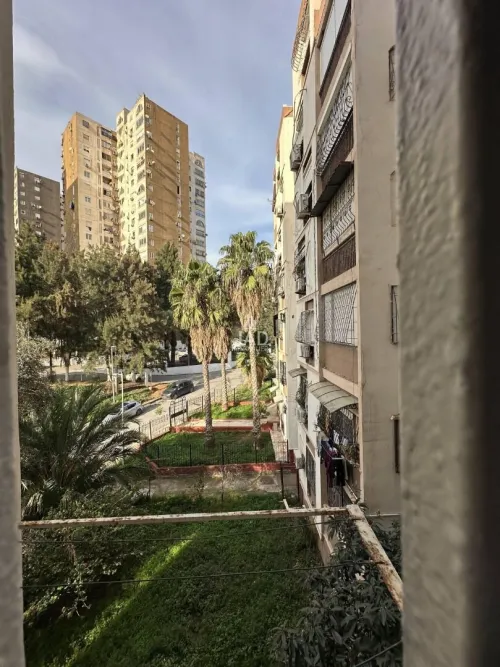 Vente Appartement F3 Alger Kouba