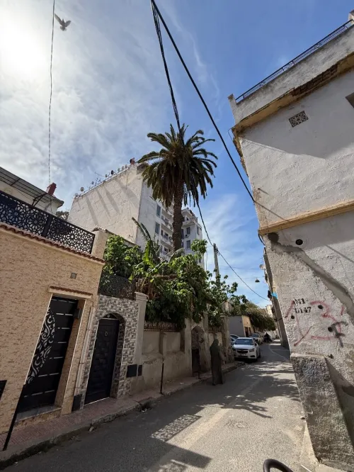 Vente Terrain Alger Sidi mhamed