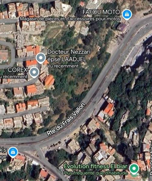 Vente Terrain Alger Bouzareah