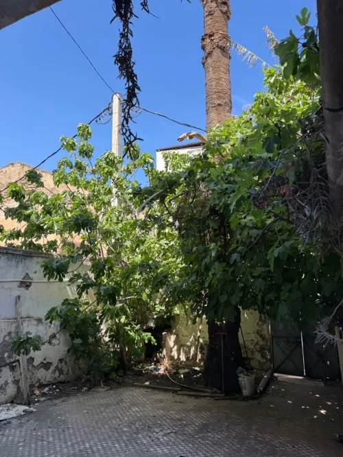 Vente Terrain Alger Sidi mhamed