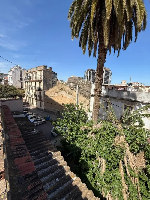 Vente Terrain Alger Sidi mhamed