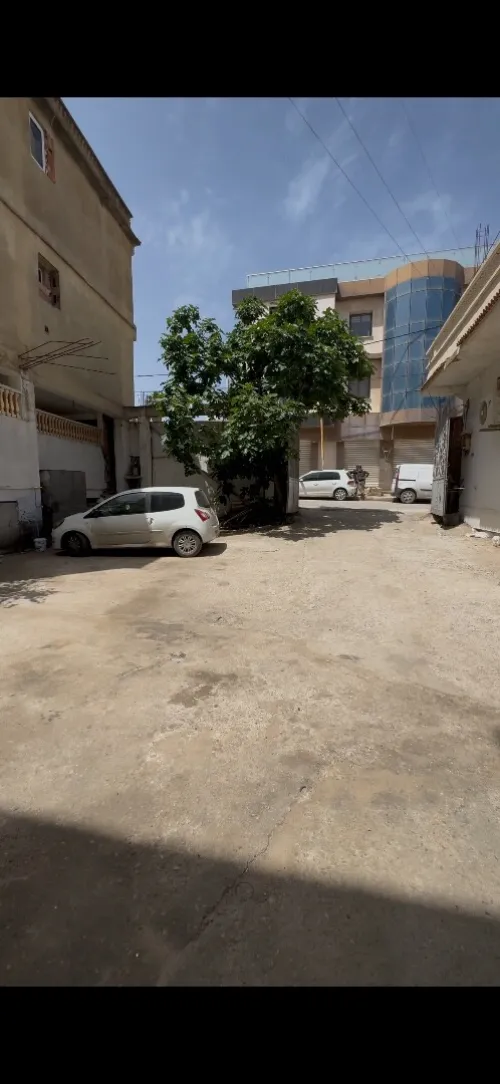 Location Local Alger Dely brahim