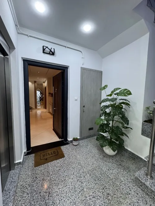 Vente Appartement F3 Alger Cheraga