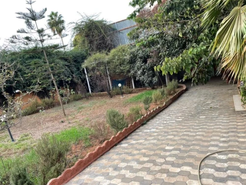 Vente Terrain Alger Mohammadia