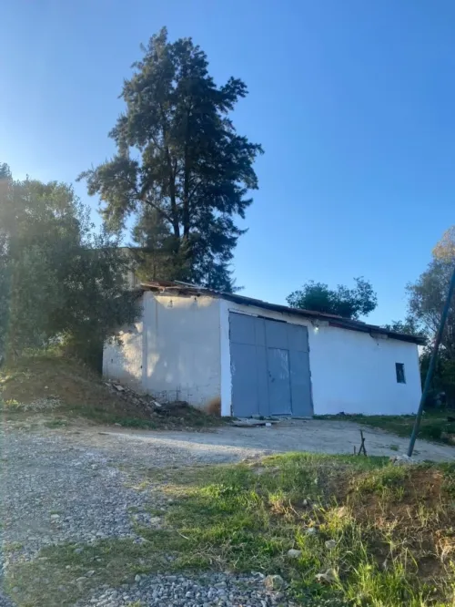 Location Hangar - Usine Alger Said hamdine