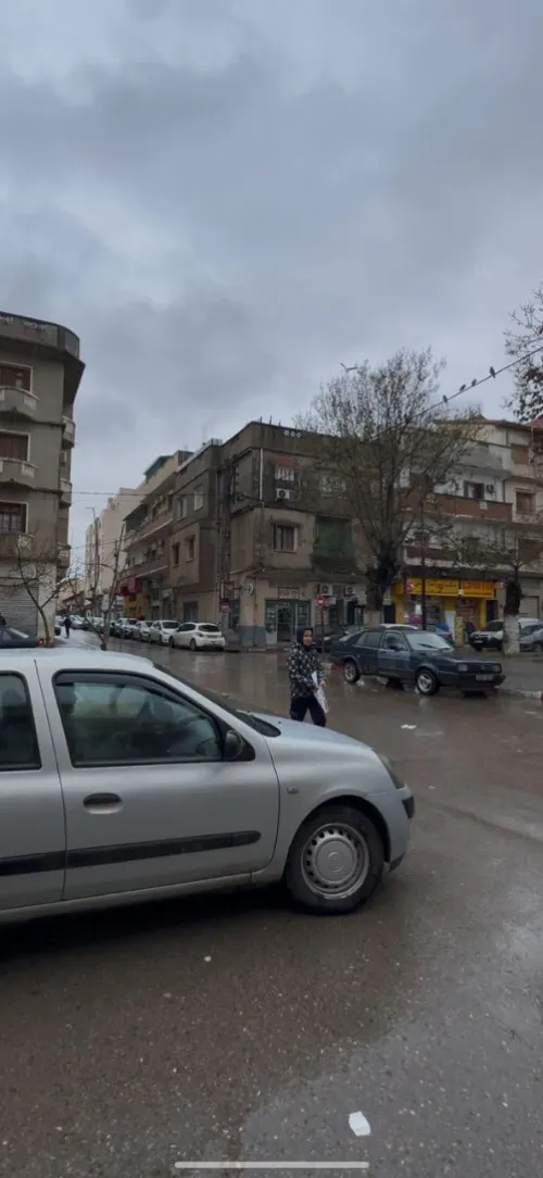 Vente Terrain Blida Boufarik
