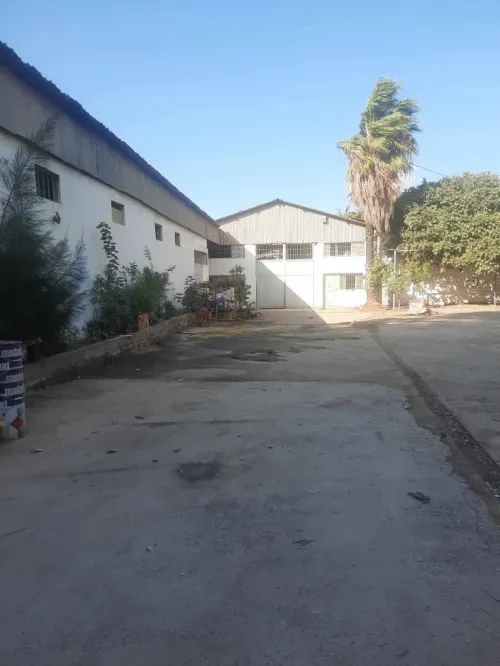 Vente Hangar Alger Gue de constantine