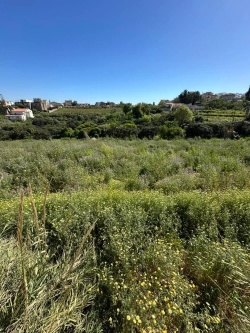 Vente Terrain Alger Birkhadem