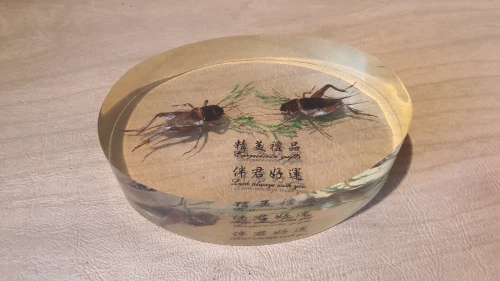Vintage presse papier chinois porte-bonheur en résine incrustés de 2 criquets 