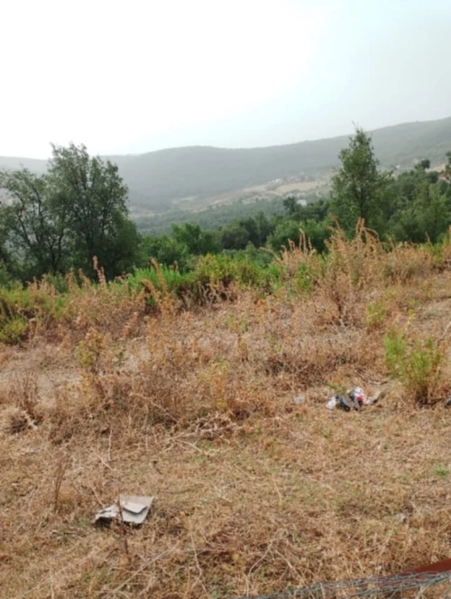 Vente Terrain Tizi Ouzou Yakouren