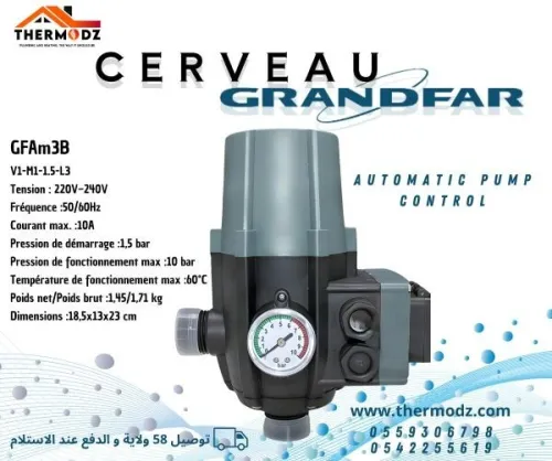 Cerveau Pompe à Eau