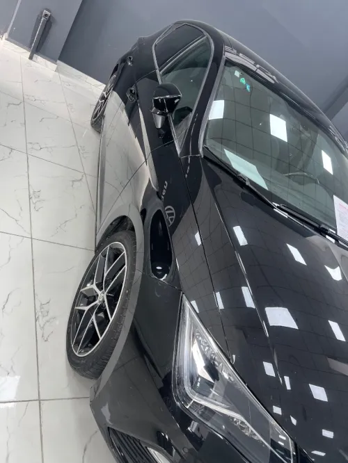 Seat Leon 2019 Bets
