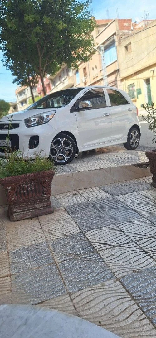 Kia Picanto 2015 Brazilia robo