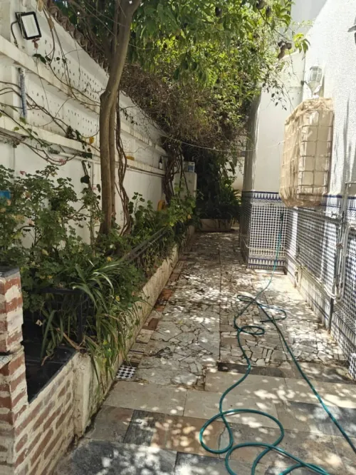 Location Villa Alger Dely brahim