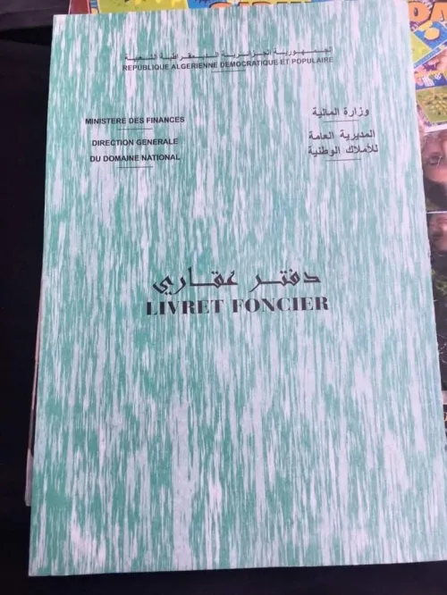 Vente Immeuble Alger Dely brahim