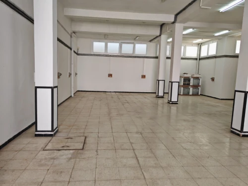 Location Local Alger Dely brahim