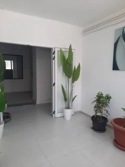 Location Appartement F4 Alger Cheraga