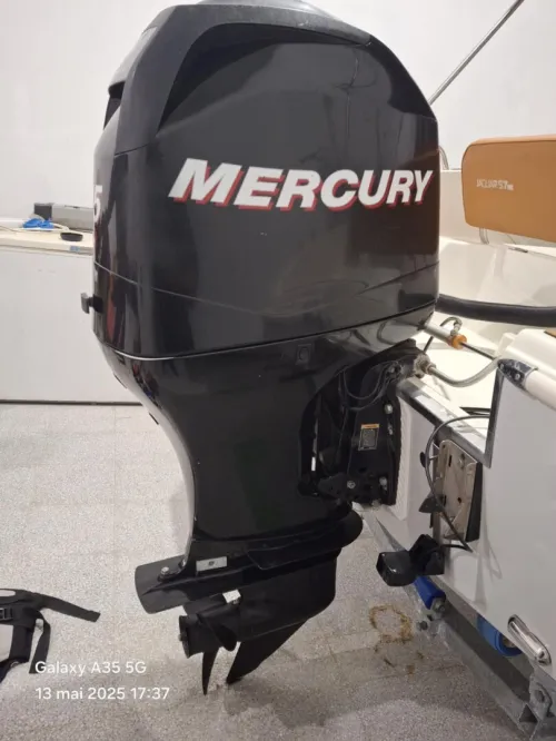 Moteur Mercury 115ch