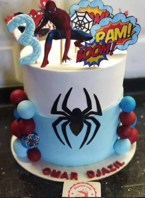cake design et layer cake gâteaux d'anniversaires personnalisés PROMO été