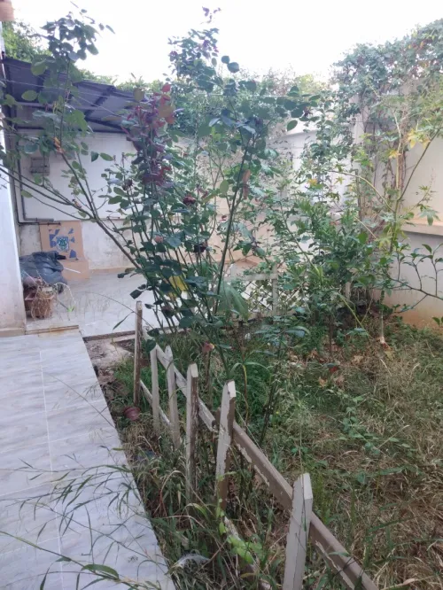 Vente Appartement F4 Alger Cheraga