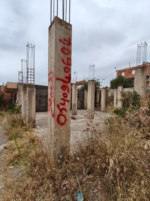 Vente Terrain Boumerdès Ouled moussa