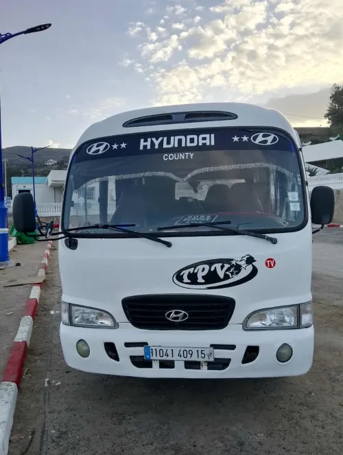 Hyundai COUNTY 2009