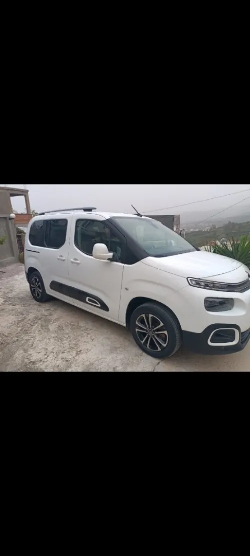 Citroen Berlingo 2019 Berlingo