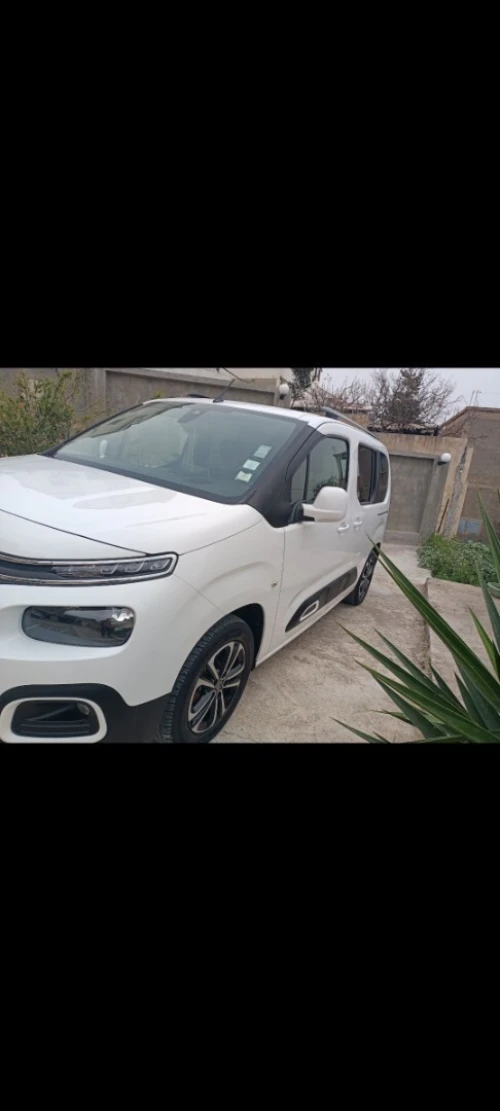 Citroen Berlingo 2019 Berlingo