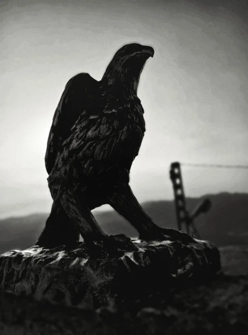 SCULPTURE ARTISANALE - AIGLE