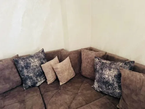 Salon Gris A Vendre