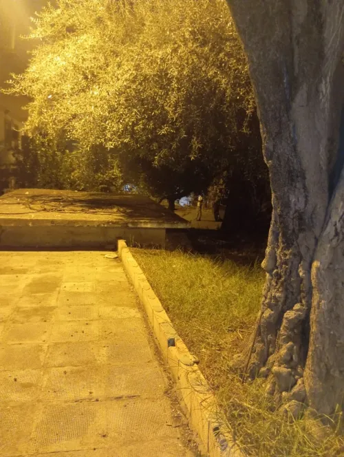 Vente Alger El biar