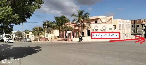 Vente Terrain Tlemcen Souahlia