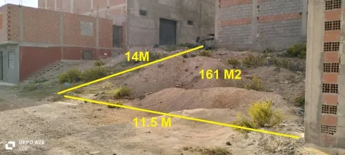 Vente Terrain Tlemcen Souahlia