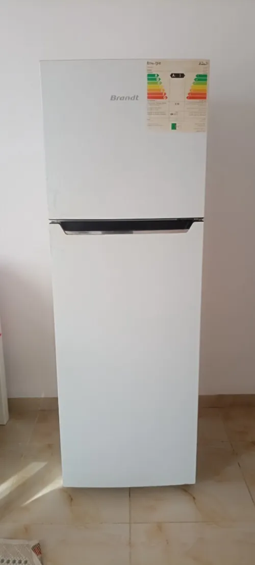 Frigidaire Brandt no frost