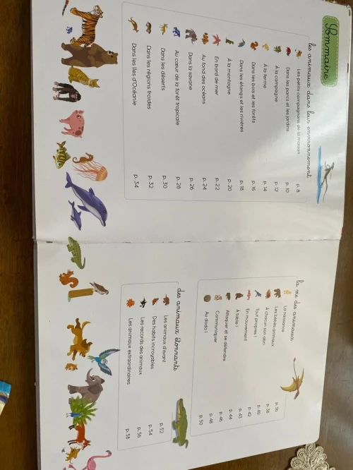 Lots de livres  pour enfants