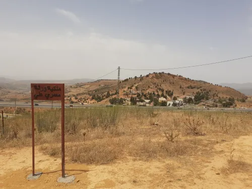 Vente Terrain Médéa Ouzera