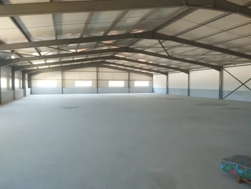 Location Hangar - Usine Alger Ouled fayet