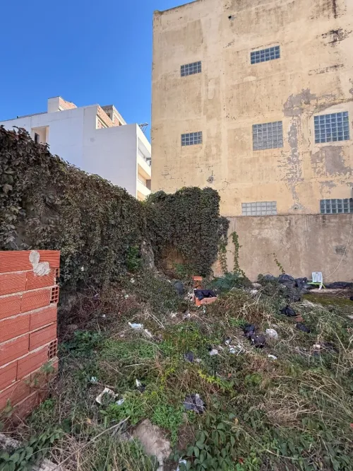 Vente Terrain Alger Bordj el kiffan